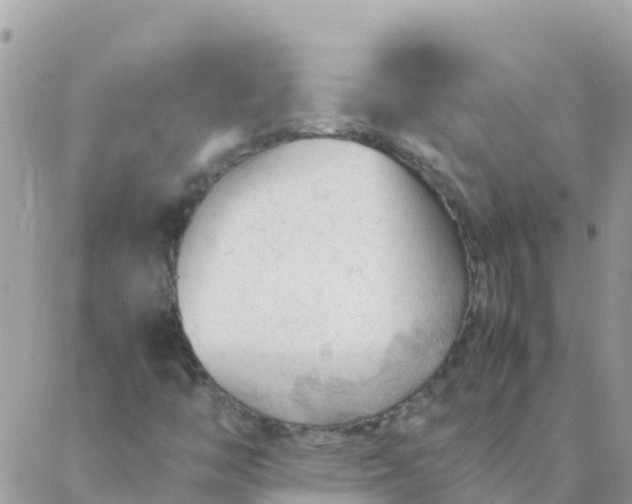 X0000087391446200705041958