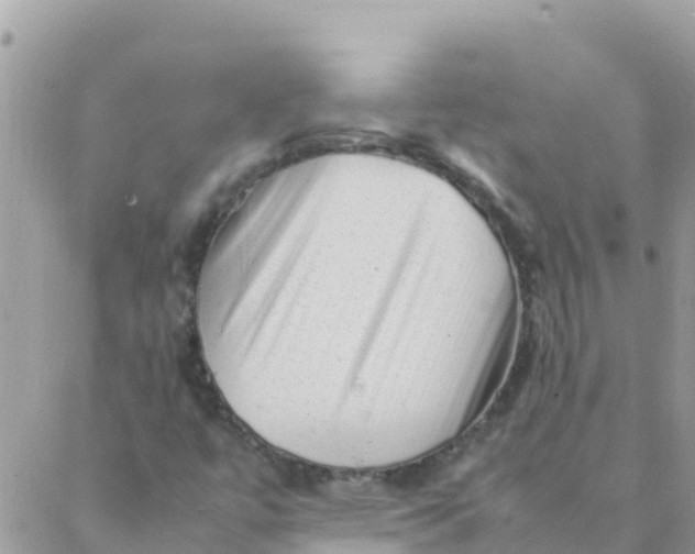 X0000087391447200705041958