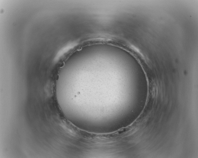 X0000087391448200705041958