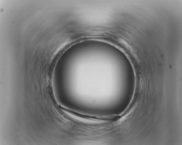 X0000087391449200705041958