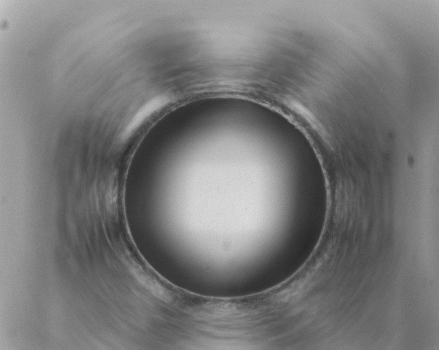 X0000087391450200705041958