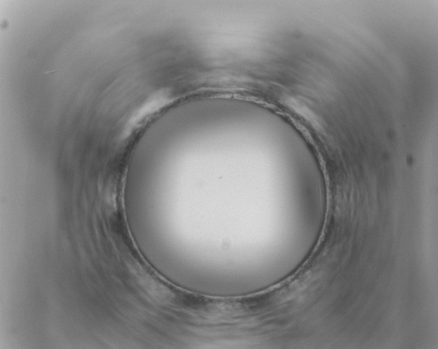 X0000087391451200705041958