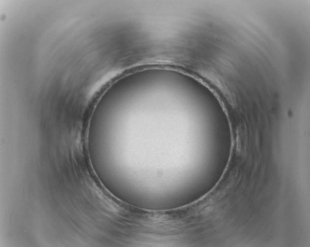 X0000087391452200705041958