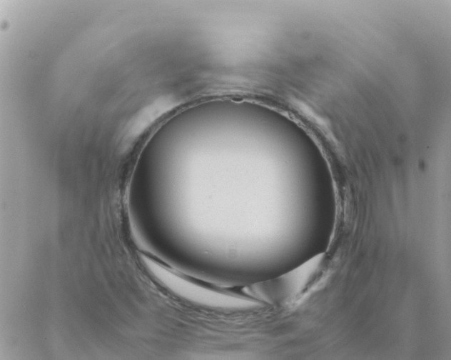 X0000087391453200705041958