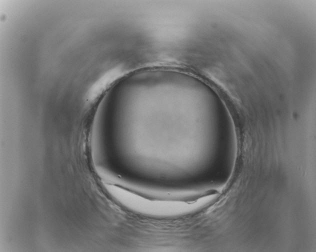 X0000087391455200705041958