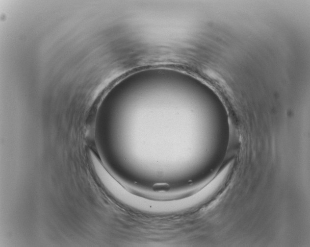 X0000087391457200705041958