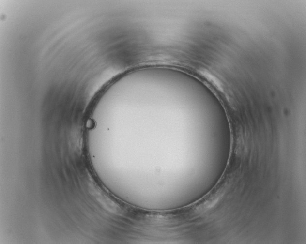 X0000087391458200705041958