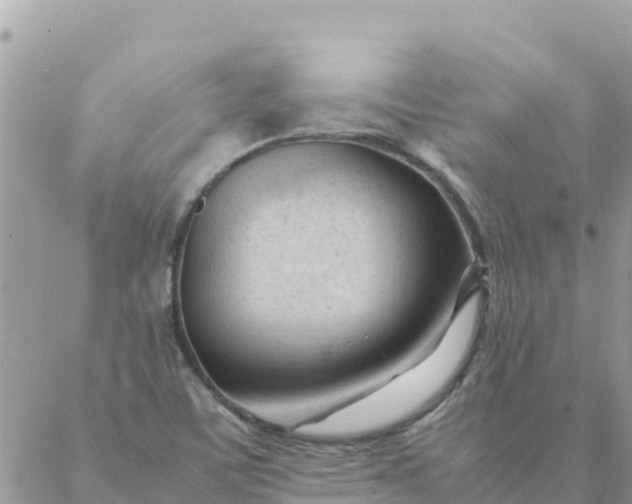 X0000087391459200705041958