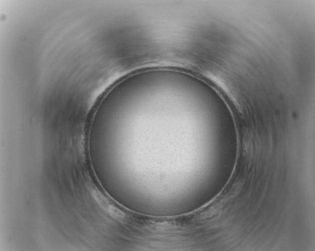 X0000087391460200705041958