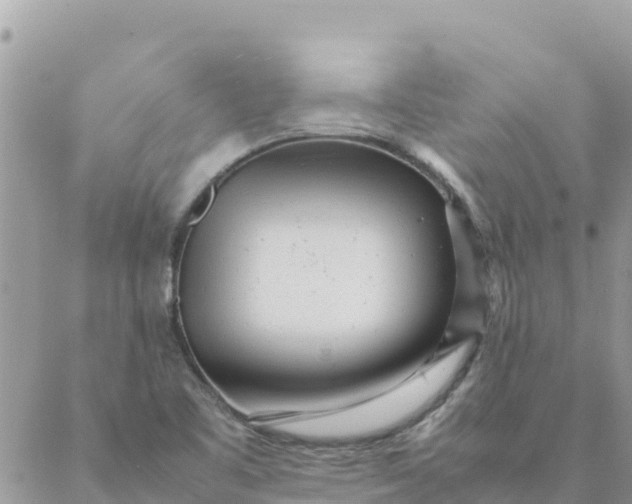 X0000087391461200705041958