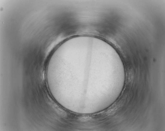 X0000087391462200705041958