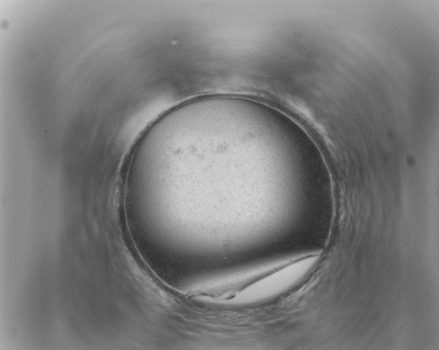 X0000087391463200705041958