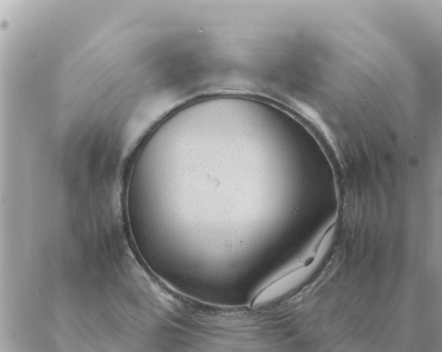 X0000087391464200705041958