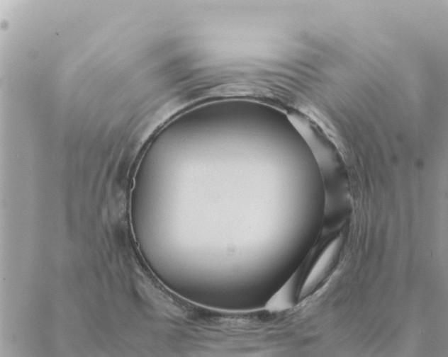 X0000087391465200705041958