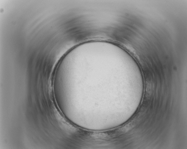 X0000087391466200705041958