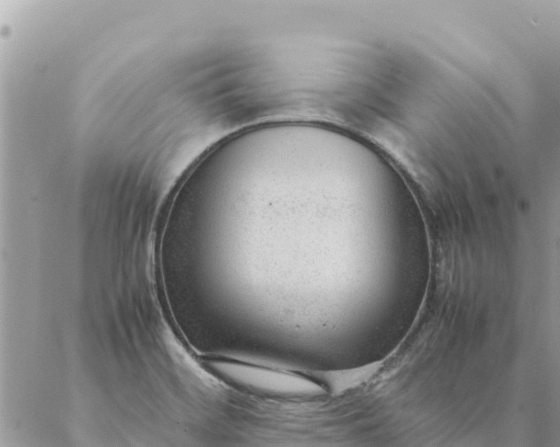 X0000087391468200705041958