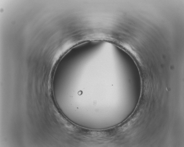 X0000087391469200705041958