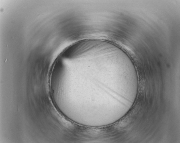 X0000087391470200705041958