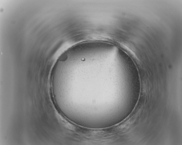 X0000087391471200705041958