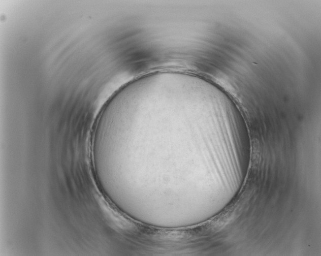 X0000087391474200705041958