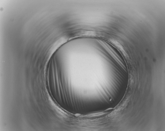 X0000087391475200705041958