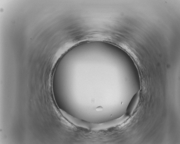 X0000087391477200705041958