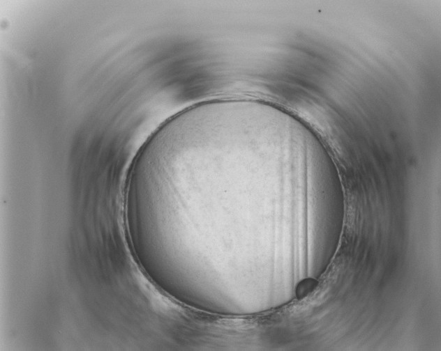 X0000087391478200705041958