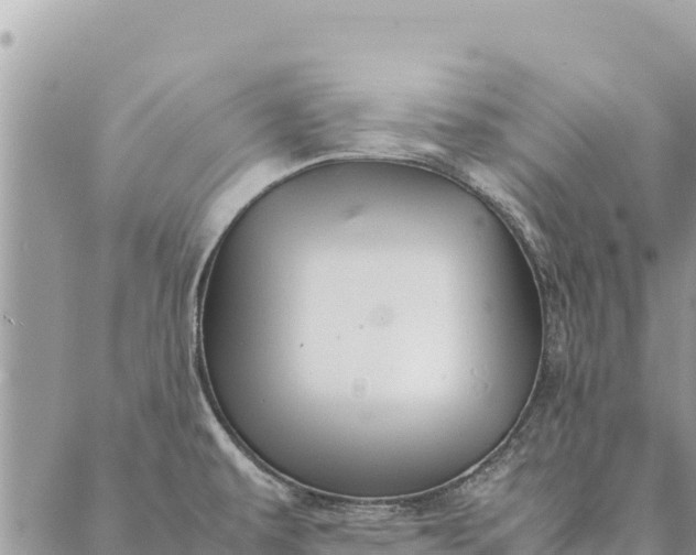 X0000087391479200705041958