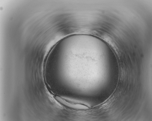 X0000087391480200705041958