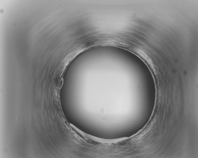 X0000087391481200705041958