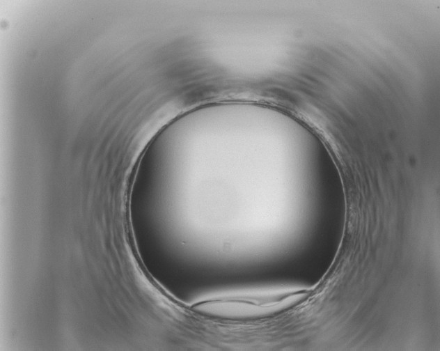 X0000087391483200705041958