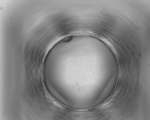 X0000087391486200705041958