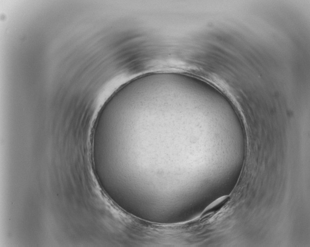 X0000087391488200705041958