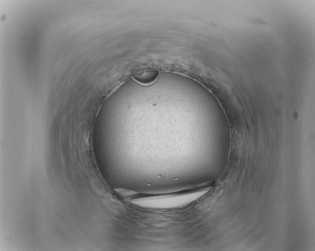 X0000087391489200705041957