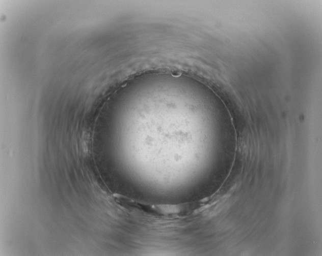 X0000087391490200705041957