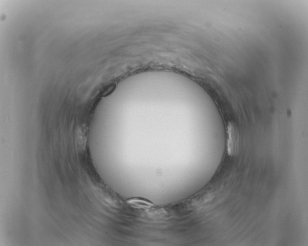 X0000087391491200705041957