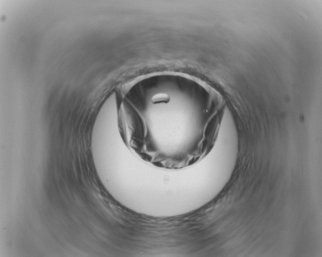 X0000087391492200705041957