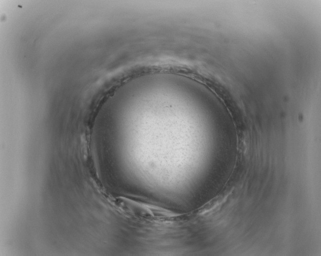 X0000087391493200705041957