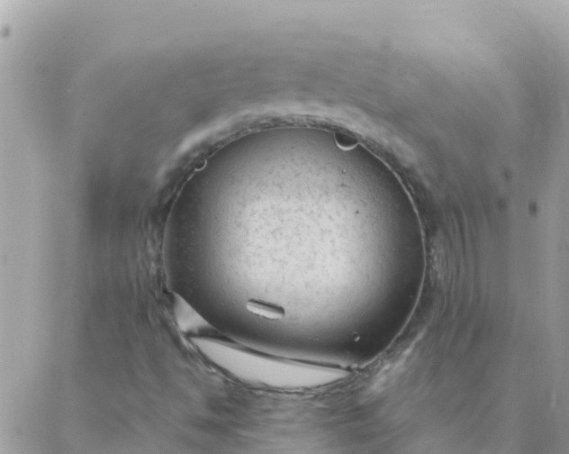 X0000087391494200705041957