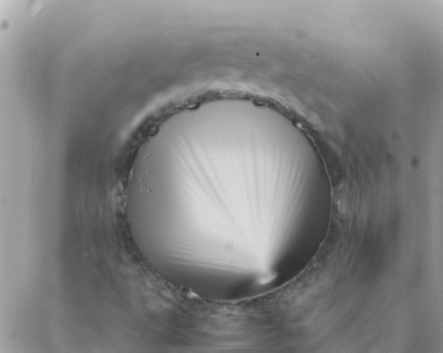 X0000087391495200705041957