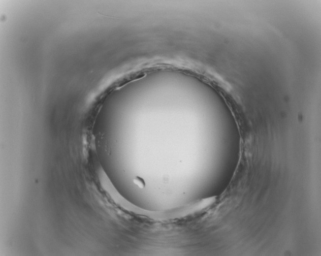 X0000087391496200705041957