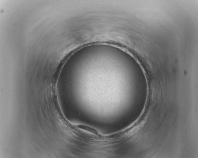 X0000087391497200705041957