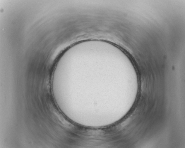 X0000087391498200705041957