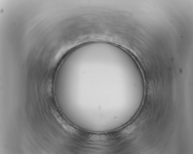 X0000087391499200705041957