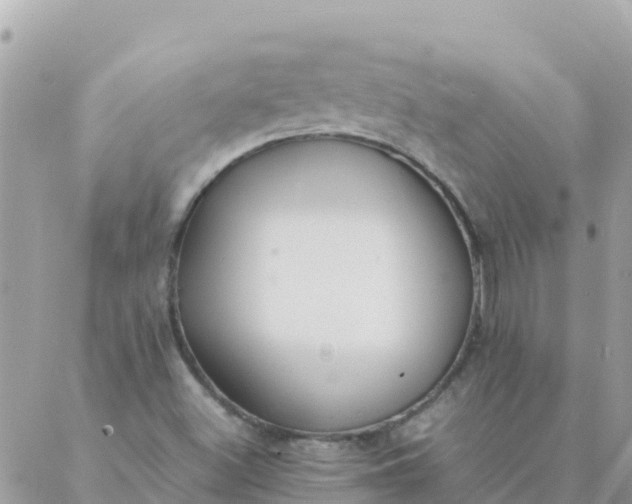 X0000087391500200705041957