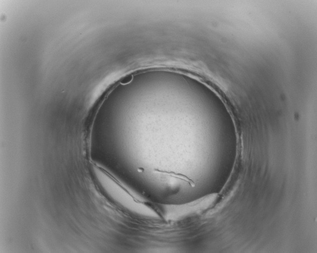 X0000087391501200705041957