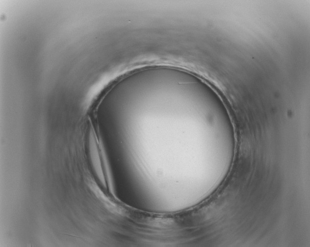 X0000087391503200705041957