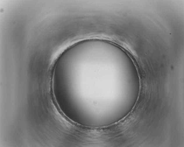 X0000087391504200705041957