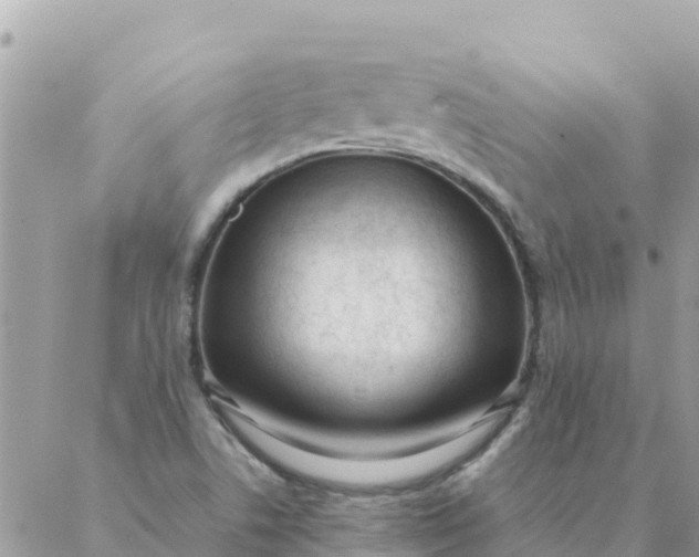 X0000087391506200705041957