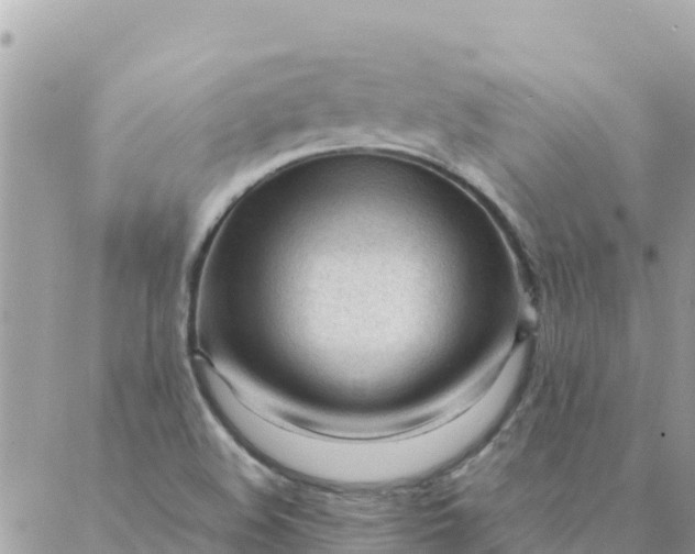 X0000087391508200705041957